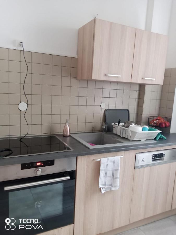 Grand Appartement Au Coeur De שטרסבורג מראה חיצוני תמונה