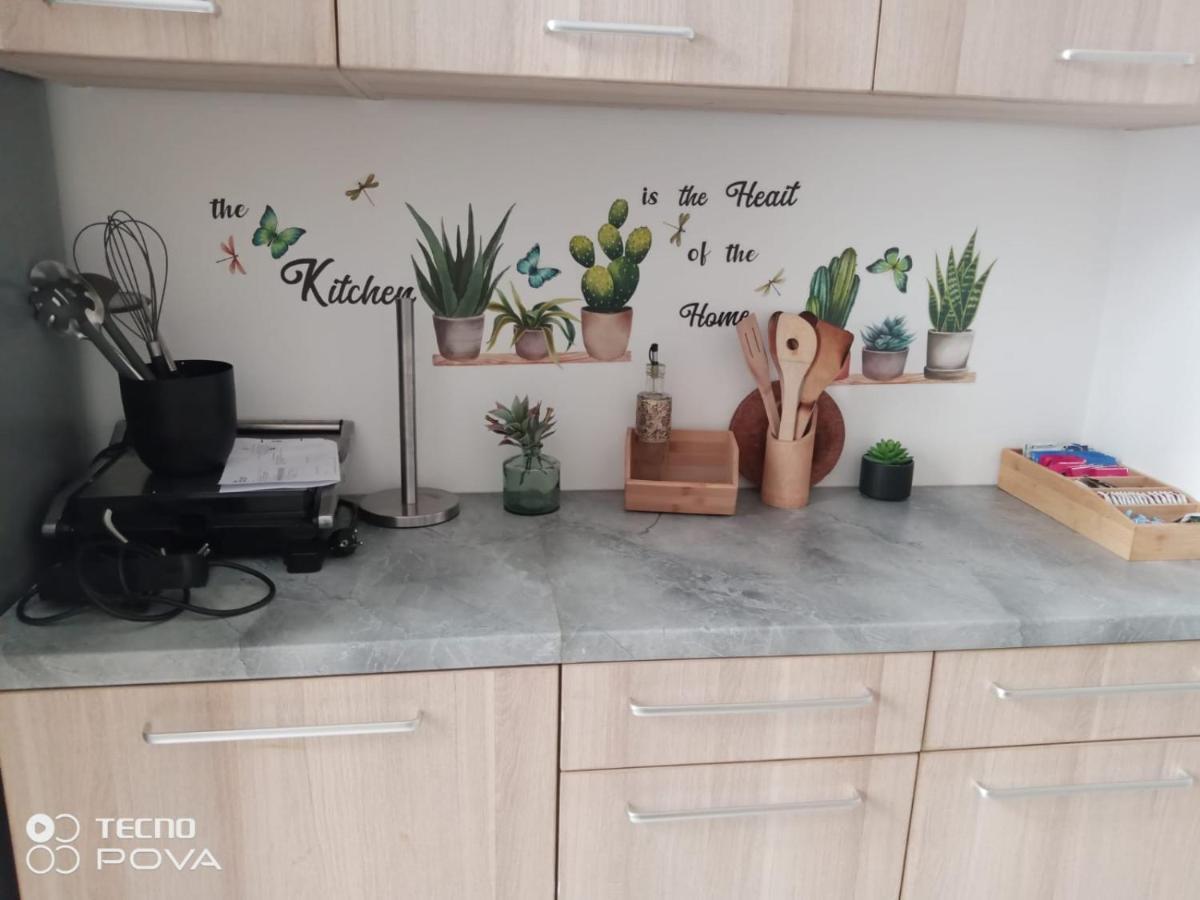 Grand Appartement Au Coeur De שטרסבורג מראה חיצוני תמונה